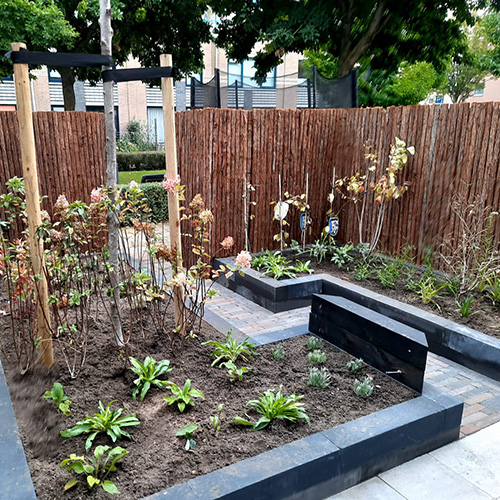 Beplanting
